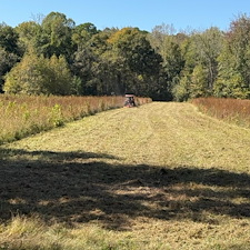 Bush-Hogging-Services-in-Oxford-MS 2